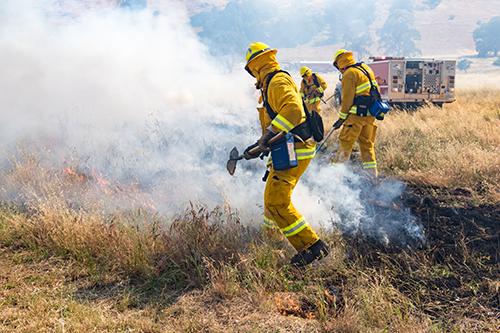 Wildland Fire